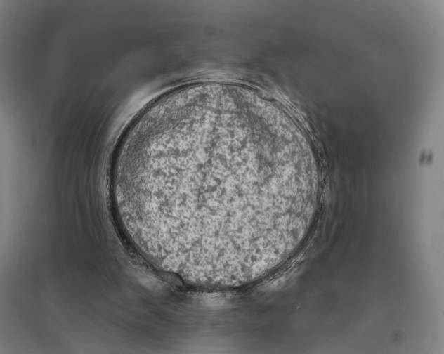 X0000095110103200712301746