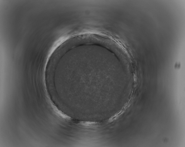 X0000095110104200712301746