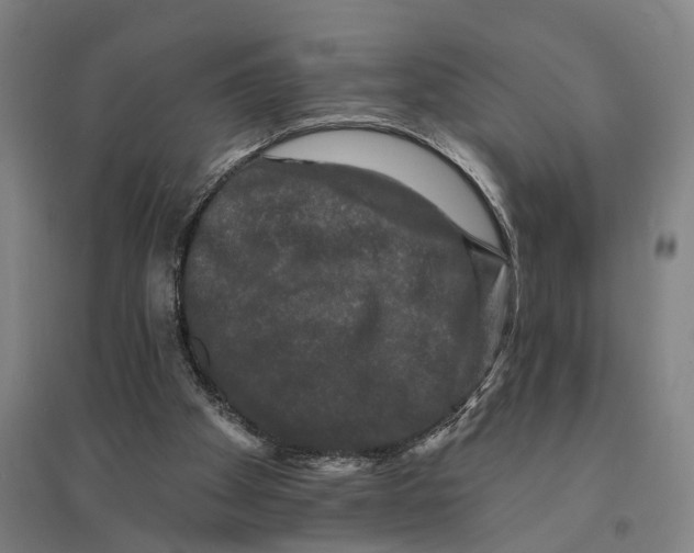 X0000095110105200712301746