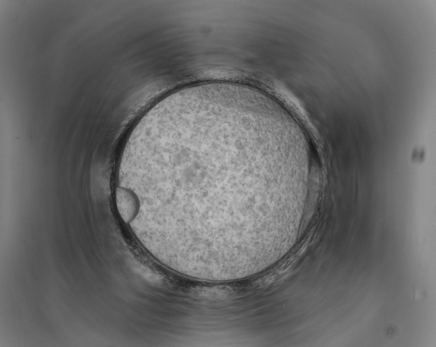 X0000095110106200712301746