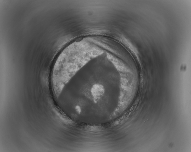 X0000095110107200712301746