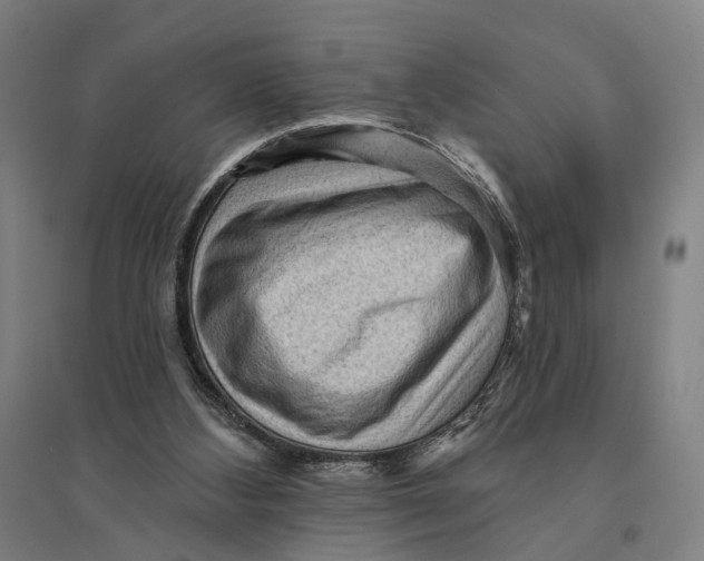 X0000095110108200712301746