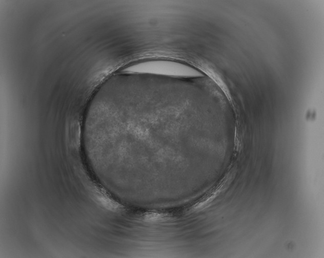 X0000095110109200712301746