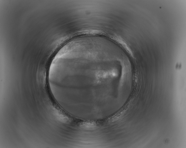 X0000095110110200712301746