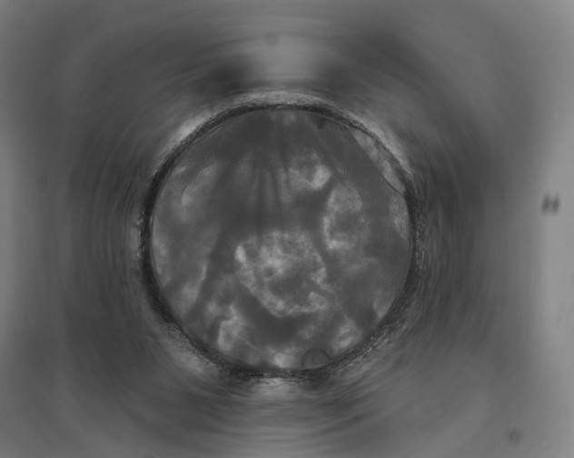 X0000095110111200712301746