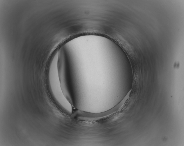 X0000095110112200712301746