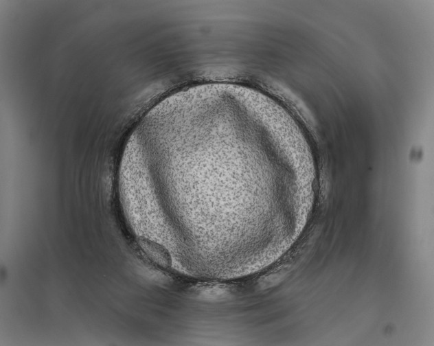 X0000095110113200712301746