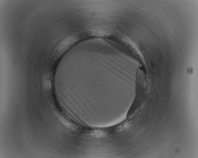 X0000095110114200712301746