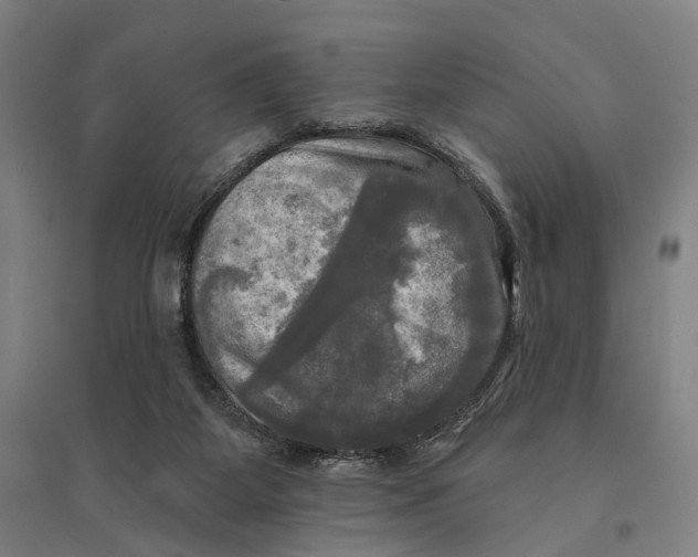 X0000095110115200712301746