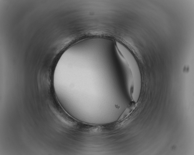 X0000095110116200712301746