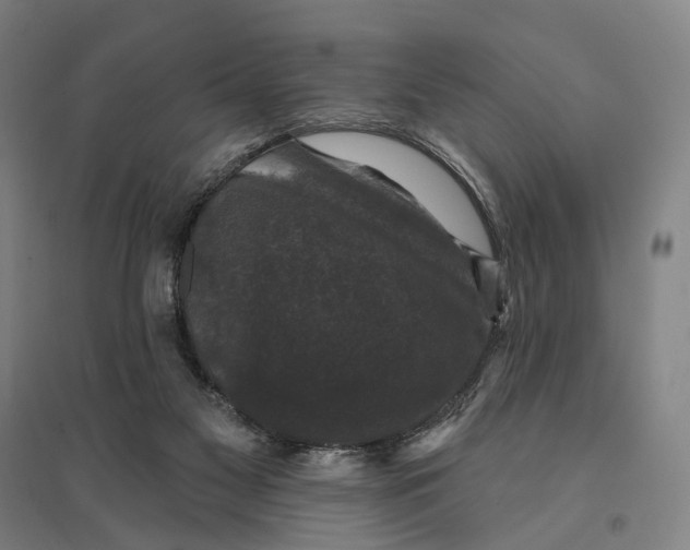 X0000095110117200712301746