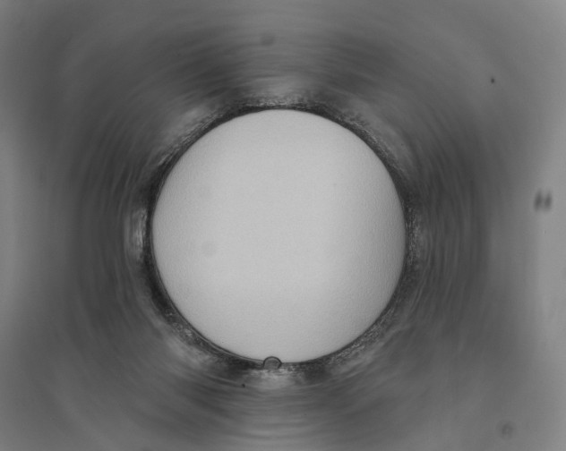 X0000095110118200712301746