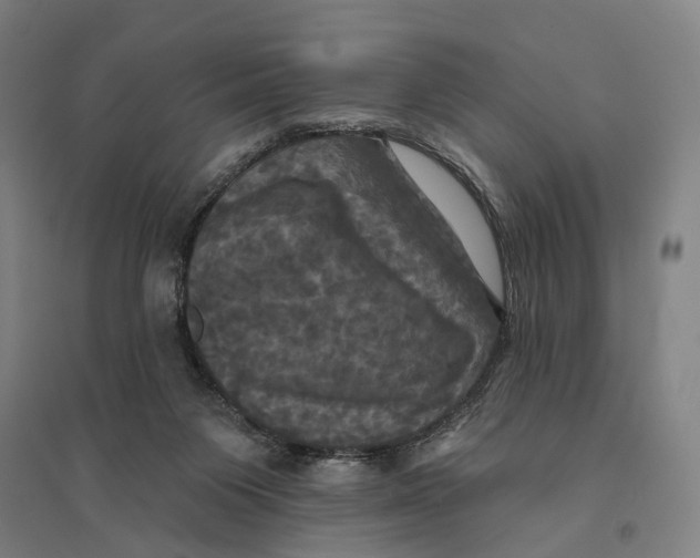 X0000095110119200712301746