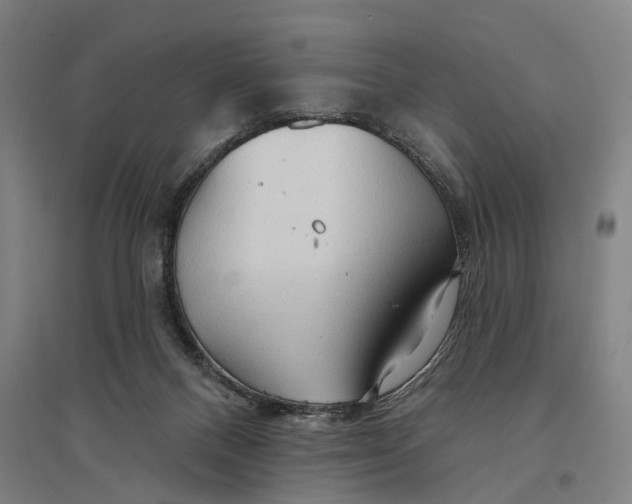 X0000095110120200712301746