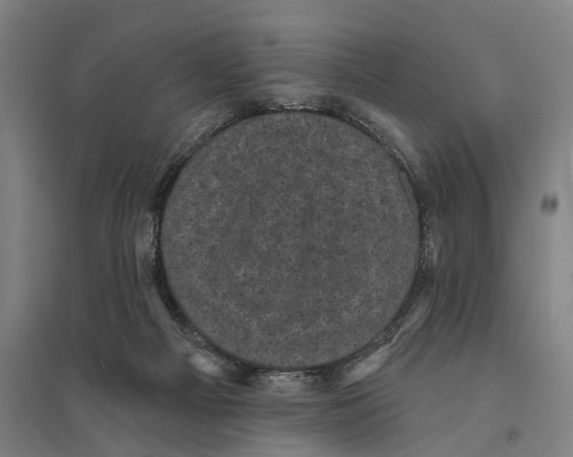 X0000095110121200712301746