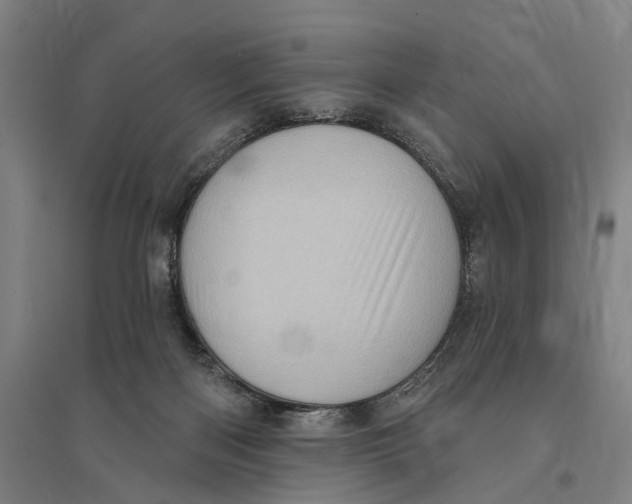 X0000095110122200712301746