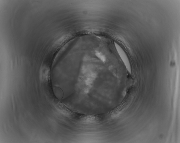 X0000095110123200712301746