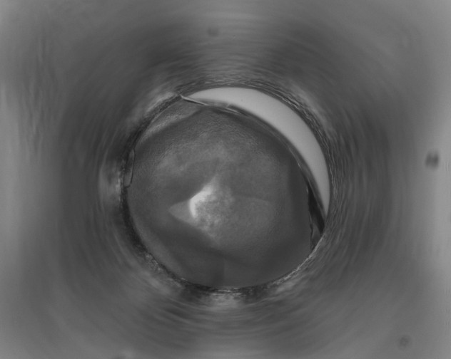 X0000095110124200712301746