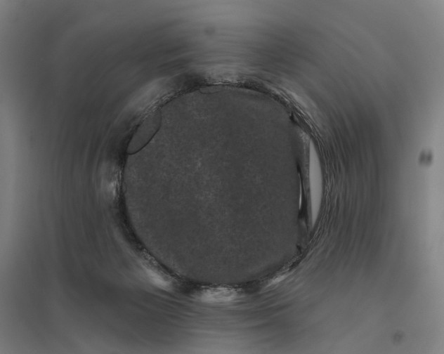 X0000095110125200712301745