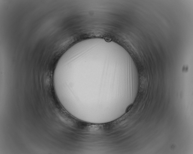 X0000095110126200712301745