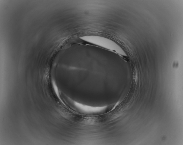 X0000095110127200712301745