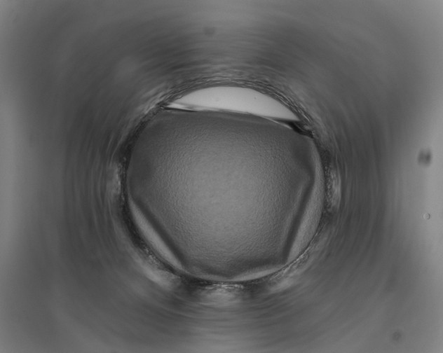 X0000095110128200712301745