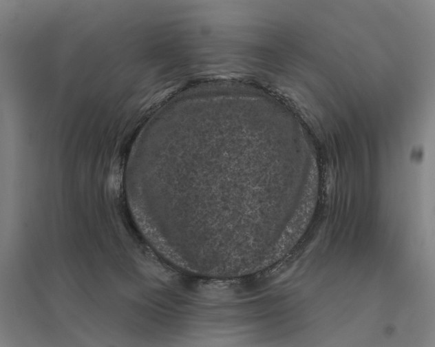 X0000095110129200712301745