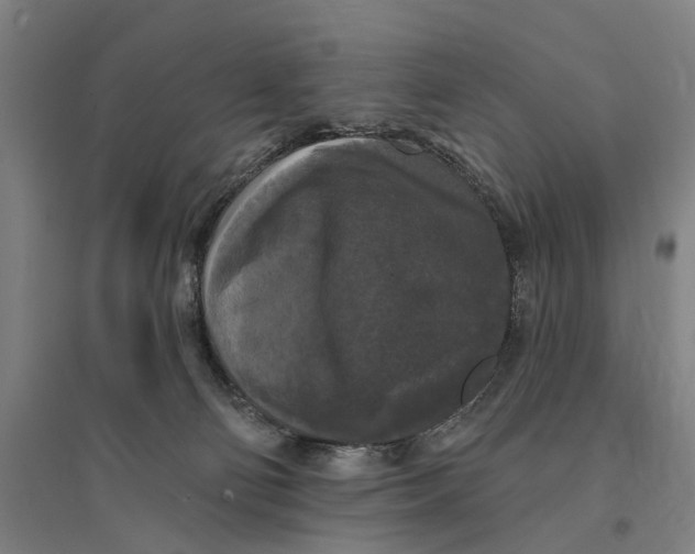 X0000095110130200712301745