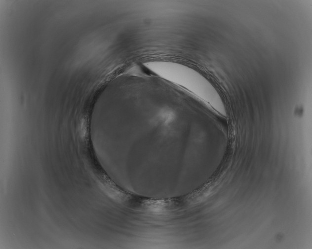 X0000095110131200712301745