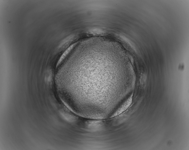 X0000095110132200712301745