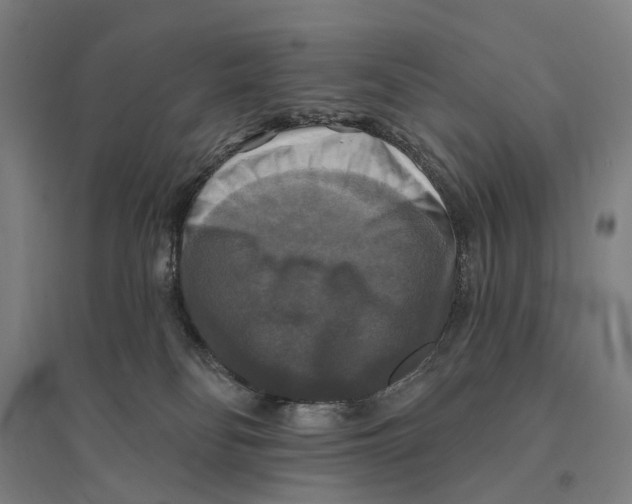 X0000095110134200712301745