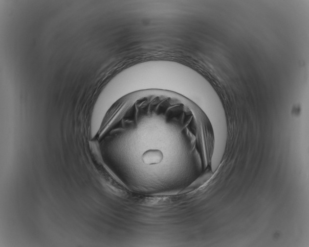 X0000095110136200712301745