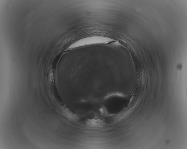 X0000095110137200712301745