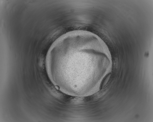 X0000095110138200712301745