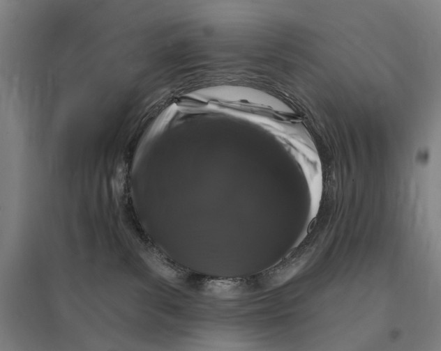 X0000095110139200712301745