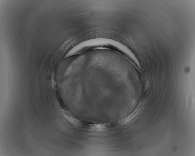 X0000095110140200712301745