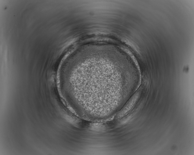 X0000095110141200712301745