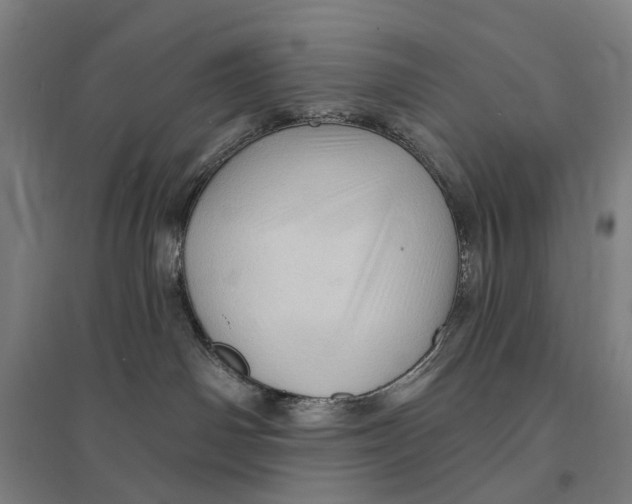 X0000095110142200712301745