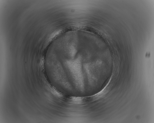 X0000095110144200712301745