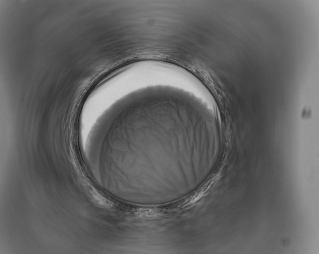 X0000095110145200712301745