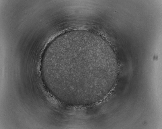 X0000095110146200712301745