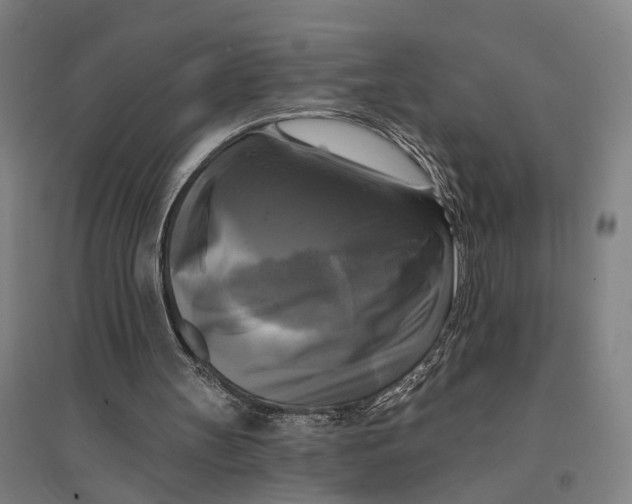 X0000095110147200712301745