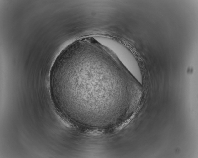 X0000095110148200712301745