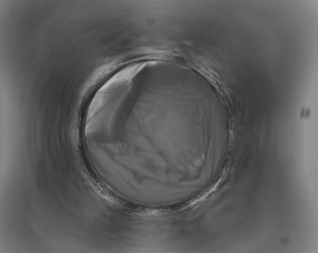 X0000095110149200712301745