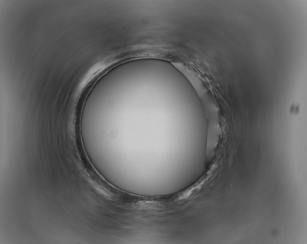 X0000095110150200712301745