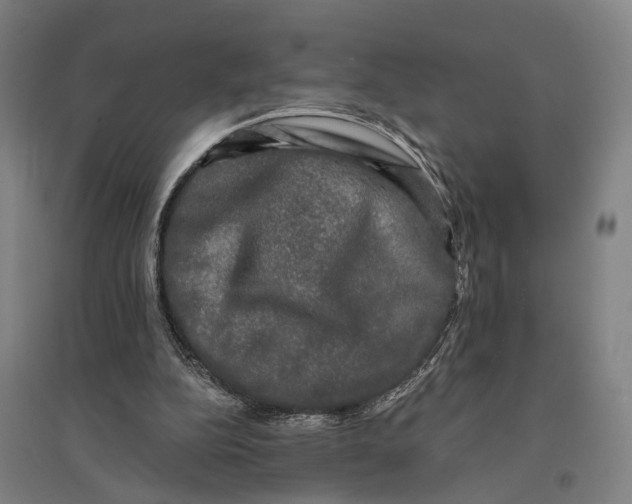 X0000095110152200712301745