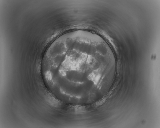 X0000095110153200712301745