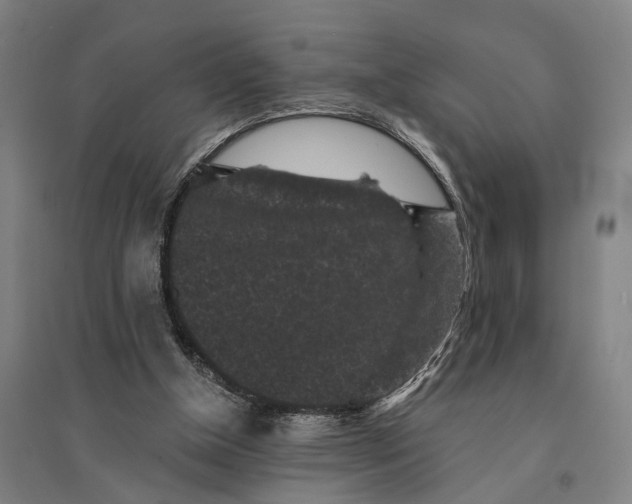 X0000095110154200712301745