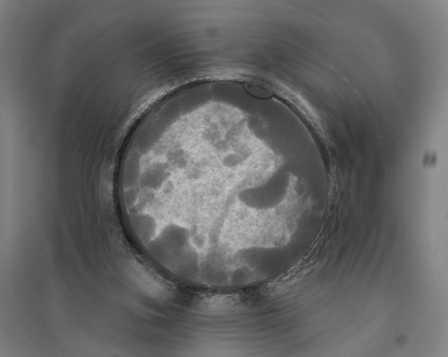 X0000095110155200712301745