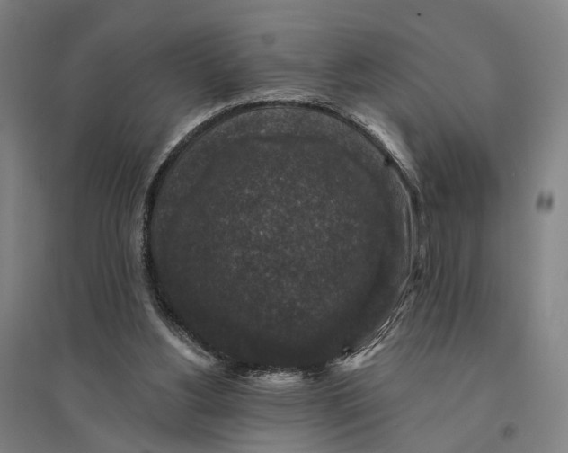 X0000095110156200712301745